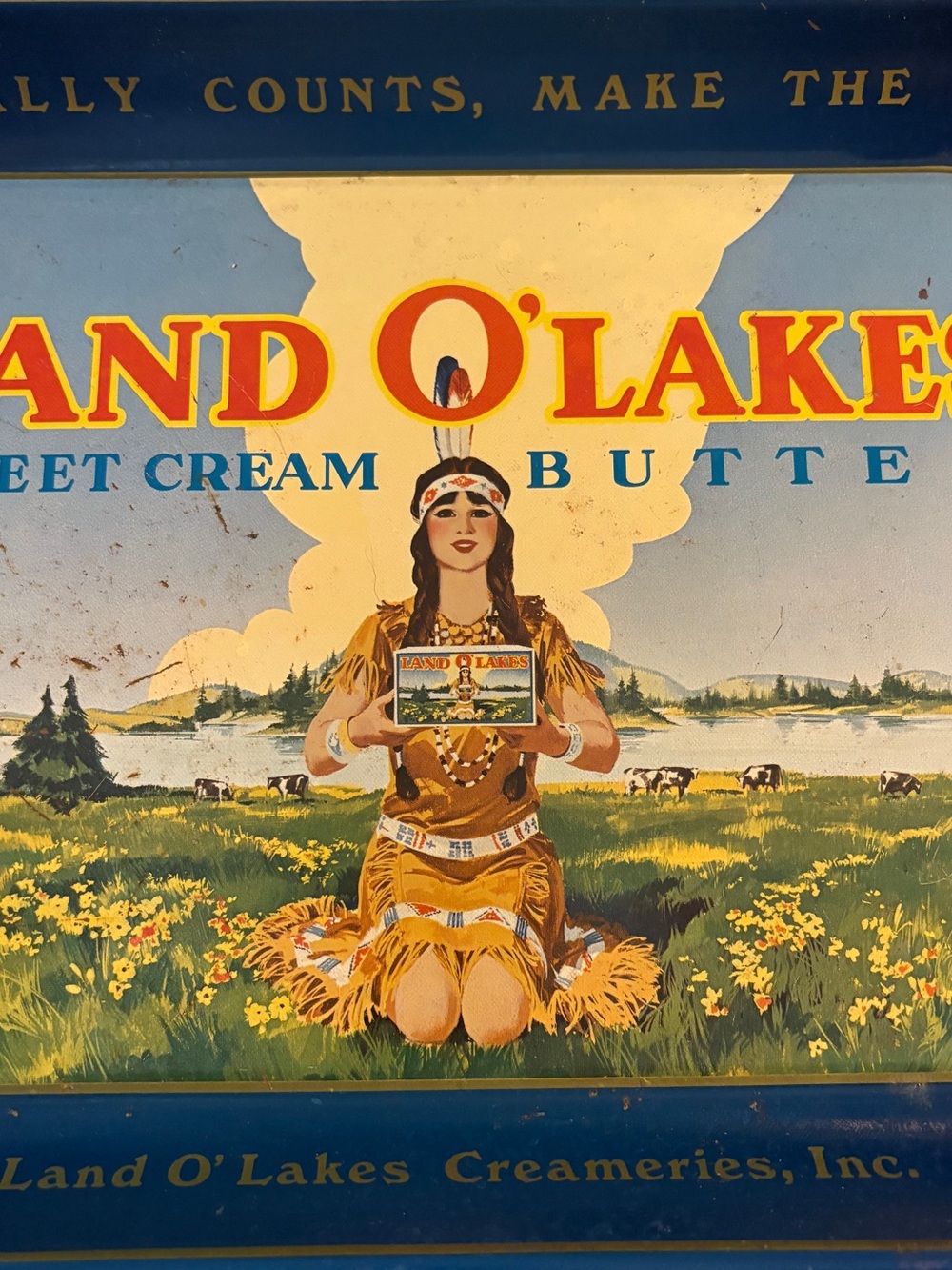 Vintage Land O Lakes metal tray